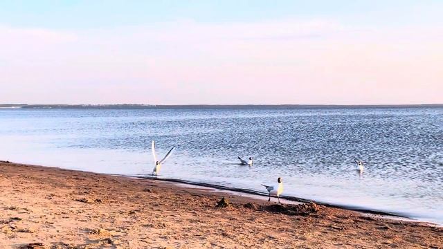 Западный Котлин на мото. Форт Шанец смотреть онлайн