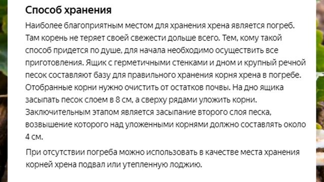 Как правильно хранить корни хрена смотреть онлайн