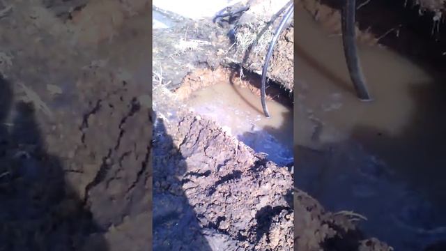 Тюменская область. С. Онохино улица Рябиновая смотреть онлайн