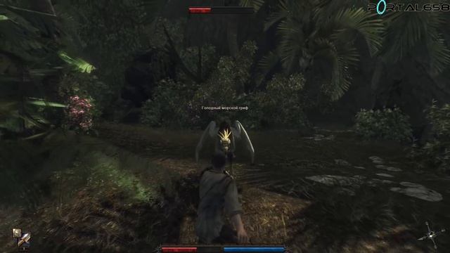 Risen #1 (Начало)