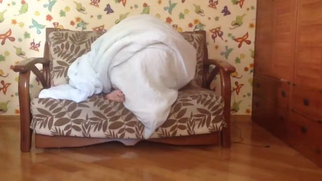 Черепаха спряталась в панцирь) угар смотреть онлайн