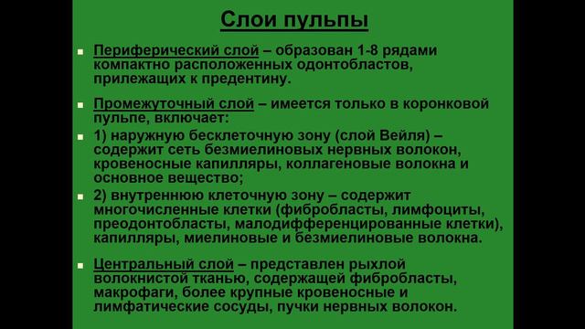 Гистологическое строение зуба. Ткани зуба. Пульпа смотреть онлайн