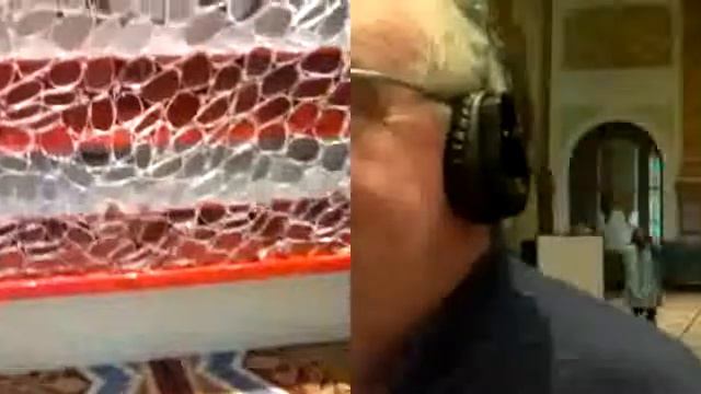 Viewpoint of Billions - 71C2N - Should genetically modified food be illegal? Why? смотреть онлайн