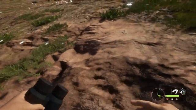 Rare MELANISTIC Mountain Goat and Other Trophies! смотреть онлайн