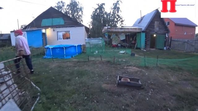 Вечерний ВЛОГ/ Хоз. двор