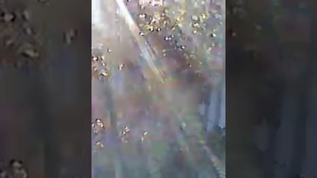 MOV 0000065 выставка ландшафтного дизайна смотреть онлайн