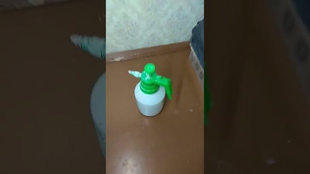 как легко удалить обои со стены?!