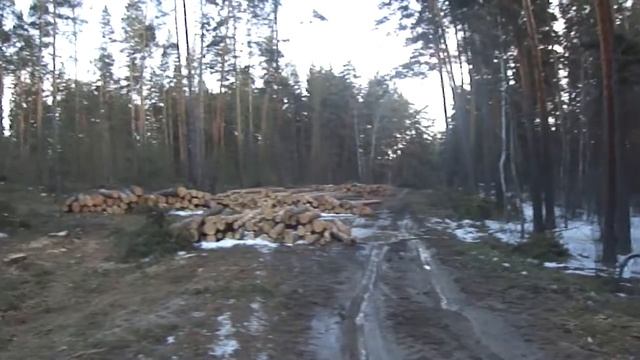 лес из красной книги.MP4 смотреть онлайн