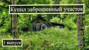 Купил заброшенный участок почти даром
