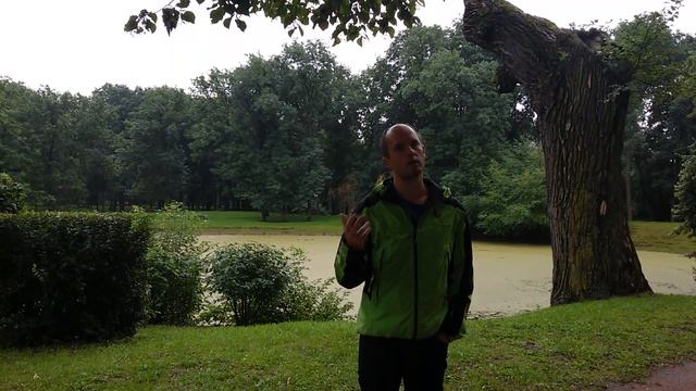 Старые деревья в парках - необходимое условие биоразнообразия. Экоэкскурсии. смотреть онлайн