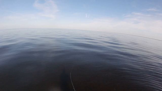 Fishing With Shrimp Lures, Artificial Shrimp смотреть онлайн