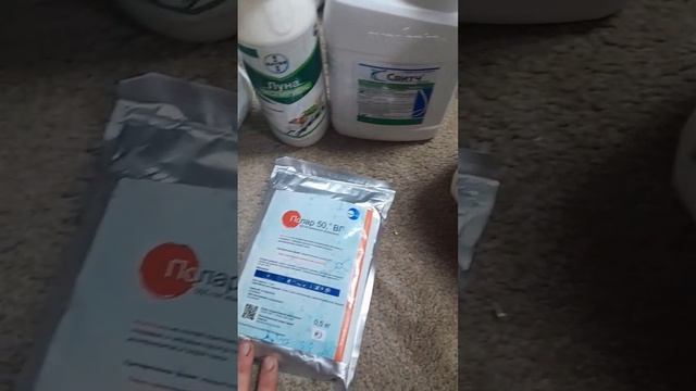 Фунгициды против серой гнили смотреть онлайн