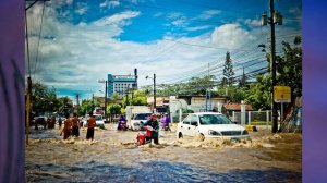 §37 "Учимся с "Полярной звездой"(10), География 8 класс, Полярная звезда, Алексеев