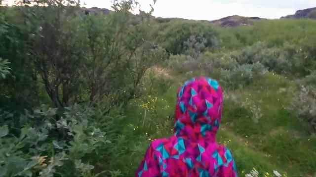 Экскурсия по Немецкому полуострову. смотреть онлайн