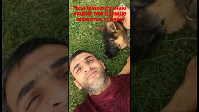 Чем больше узнаю людей тем больше нравится собаки. #imisli #terekeme #сургут #россия #собака #собак смотреть онлайн