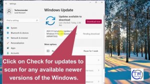 Fix the NSIS error in Windows 11