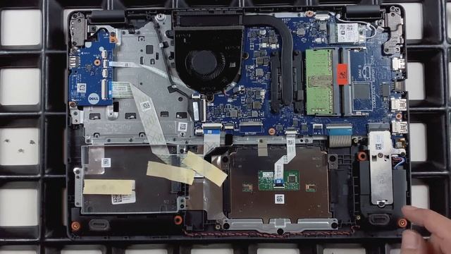 Dell Vostro 15 (3500) DDR4 von Innen - RAM, SSD, Akku, Lüfter wechseln смотреть онлайн