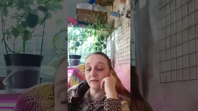 Сны. Символы. Ассоциации. смотреть онлайн