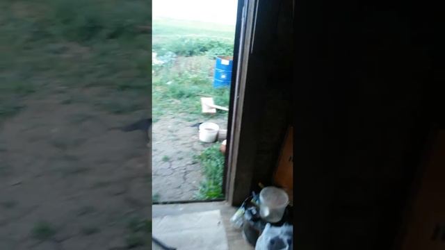 Печь Конвектика Плазма 16 смотреть онлайн