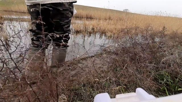 как то туманым утром. активный клев щуки.