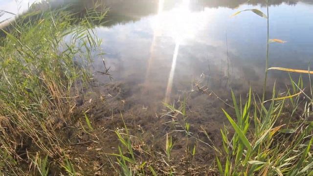 Щука есть. Рыбалка на хищника?Река Сарысу? смотреть онлайн