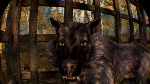 Skyrim VR. Wolf in a cage. смотреть онлайн