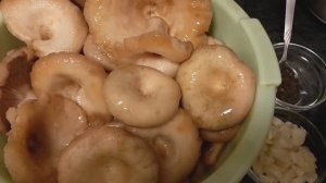 Засолка белых груздей холодным способом