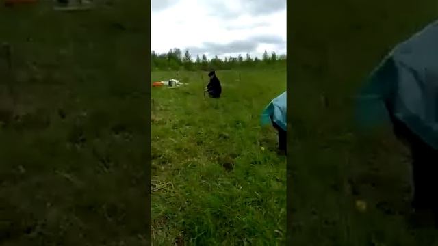 Посадка СЛИВЫ и ЛУБОВ в СВЯЩЕННОЙ РОЩЕ "Май 2020 смотреть онлайн