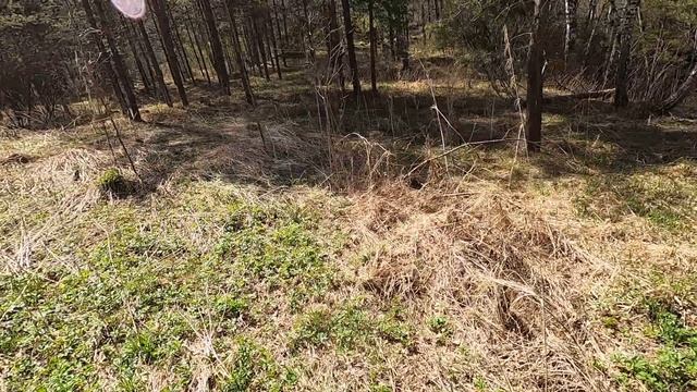 НАШЛИ МЕДНЫЙ КАБЕЛЬ / МЕТАЛЛОКОП смотреть онлайн