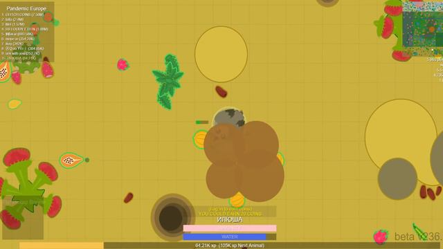 ОБНОВЛЕНИЕ В МОПИО! ВЫЖИВАЕМ ПРОТИВ ВИРУСА! | Mope.io