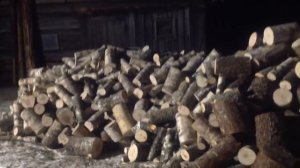 Благодарность зрителям/канал Деревенский пионер!