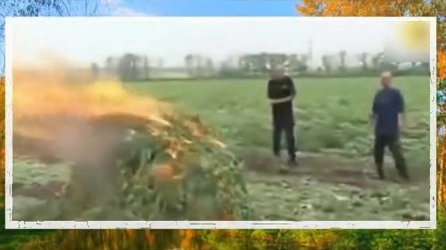 Смотреть приколы на ютубе 29 смотреть онлайн