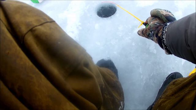 Голодная плотва на Осколе- легко найти и нелегко достать смотреть онлайн