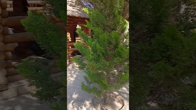 Ресторан в Баку. смотреть онлайн