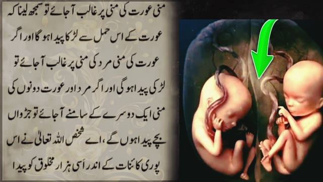Judwa Bacchy Kis Ghar Mein Paida Hote Hain?  | Twin Baby's Born Kis Aurat Ky Hoty Hain | Hazrat Ali смотреть онлайн