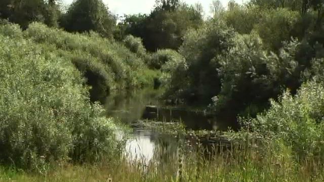 О безопасности на водоемах в Нелидовском районе смотреть онлайн
