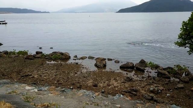 Улица Алиэкспресс в Гонконге я никогда такого не видела Aliexpress | АлоЯ Вера смотреть онлайн