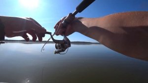 Ловля окуня летом на озере/отводной поводок.