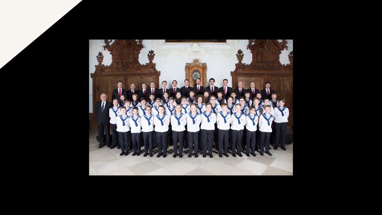 Кошачий дуэт (Duetto buffo di due gatti - Rossini) смотреть онлайн