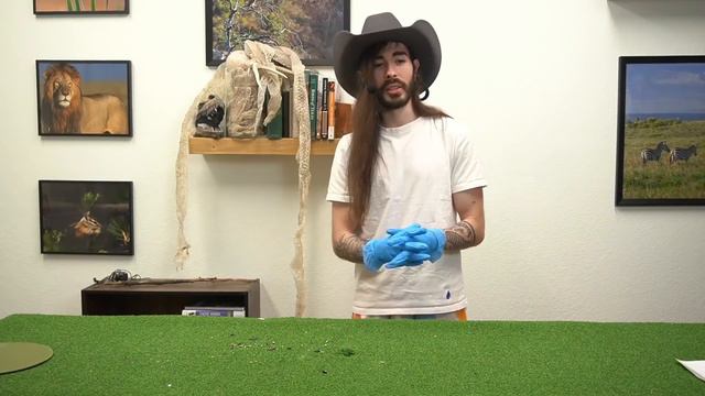 Cockroaches Don't Scare Me смотреть онлайн