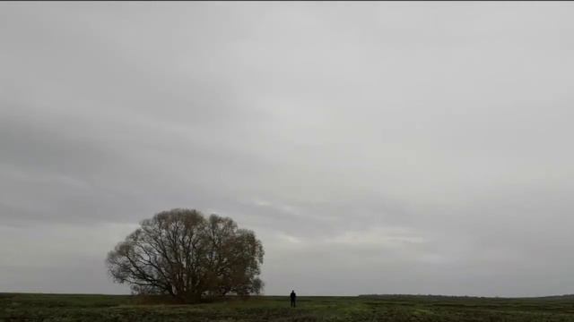 Артхаус. Идеальный фильм