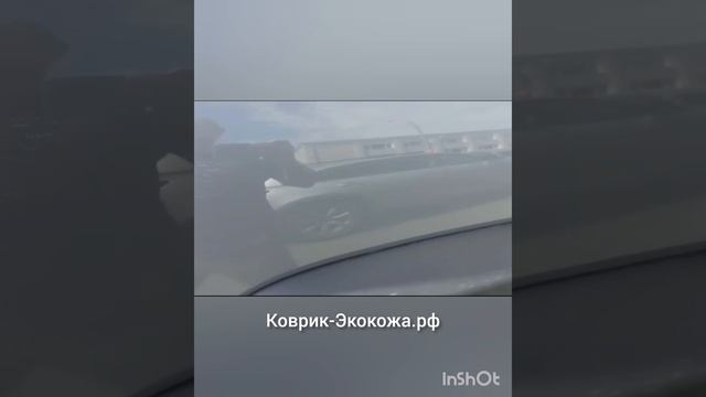 Tank 300 отзыв. 3d коврики из экокожи в салон и багажник. смотреть онлайн