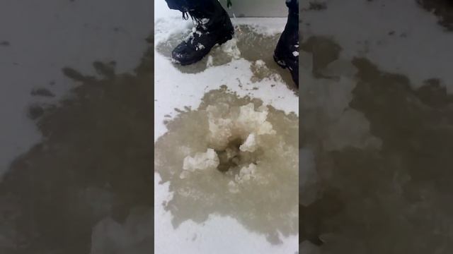 Ловля окуня на блесну и балансир по первому льду. Рыбалка в псковской области. 11.11.2016 смотреть онлайн