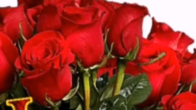 Красивое поздравление женщине смотреть онлайн