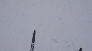 Лыжи из Спортмастер. Madshus nordseter combi. мини обзор.