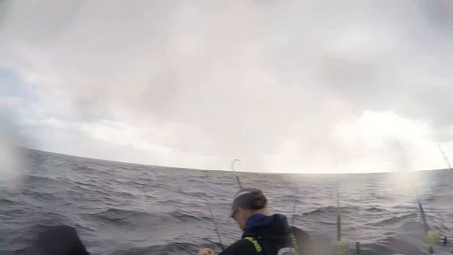 Tuna Fishing - Port Fairy (Tulip is alive!!) смотреть онлайн