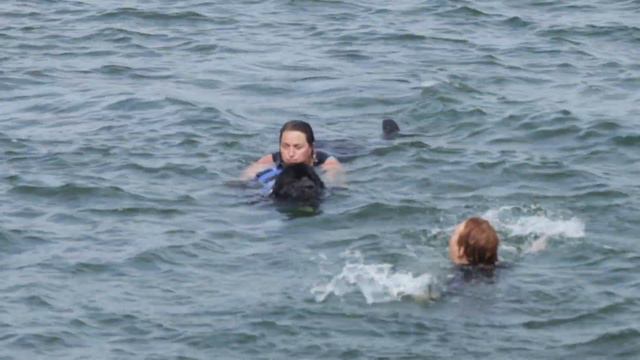 Апорт. Спасение на водах