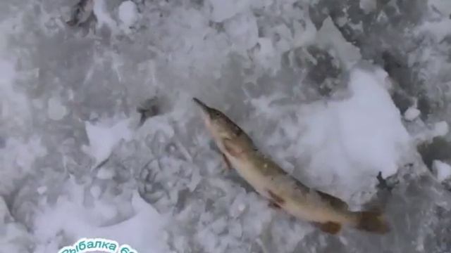 Рыбалка 69. смотреть онлайн