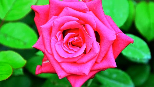 Слушать самую популярную русскую песню и видео - класс!