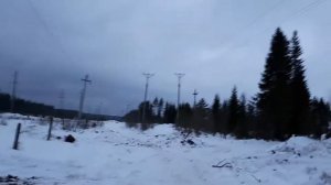 архангельская область, плесецк.